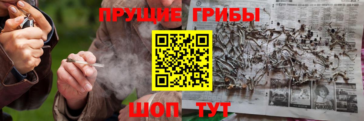 Владимир  Галлюциногенные грибы MAGIC MUSHROOMS  Галлюциногенные грибы MAGIC MUSHROOMS  Вход с VPN 