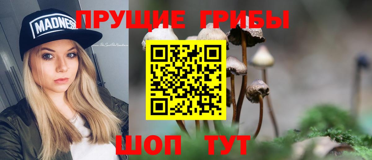 Галлюциногенные грибы прущие грибы Владимир